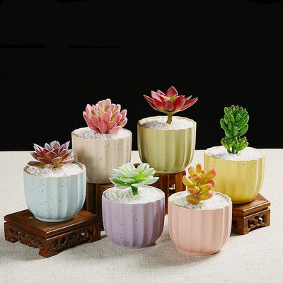 Creative Ceramic Indoor Succulent Plant Pots