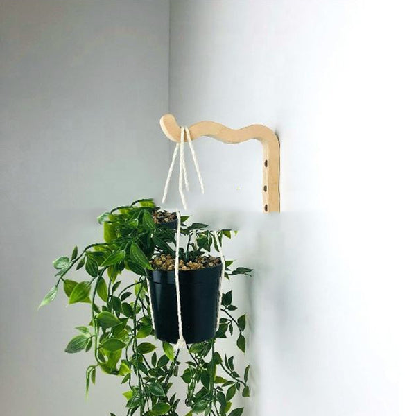 Indoor Plant Hanger Hanging Swing Wall Hook