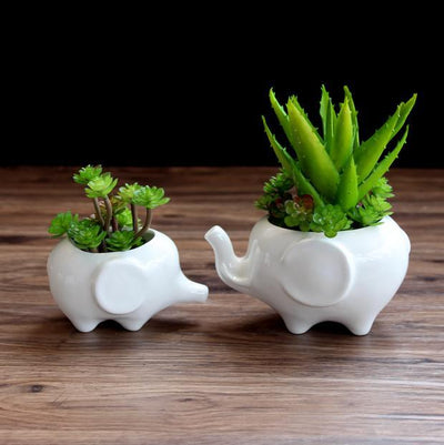 Creative ceramic flower pot