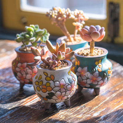 Mini Small Creative Ceramic Indoor Green Plant Potted Plants